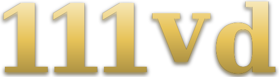 111vd logo